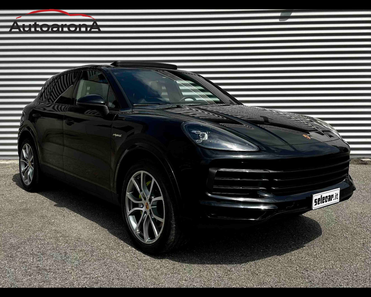 immagine non disponibile